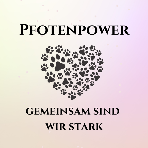 Pfotenpower