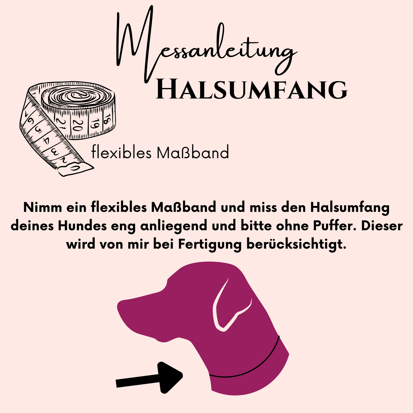 Halsband Konfigurator für große Hunde - Designe ein breites Halsband in deinen Lieblingsfarben