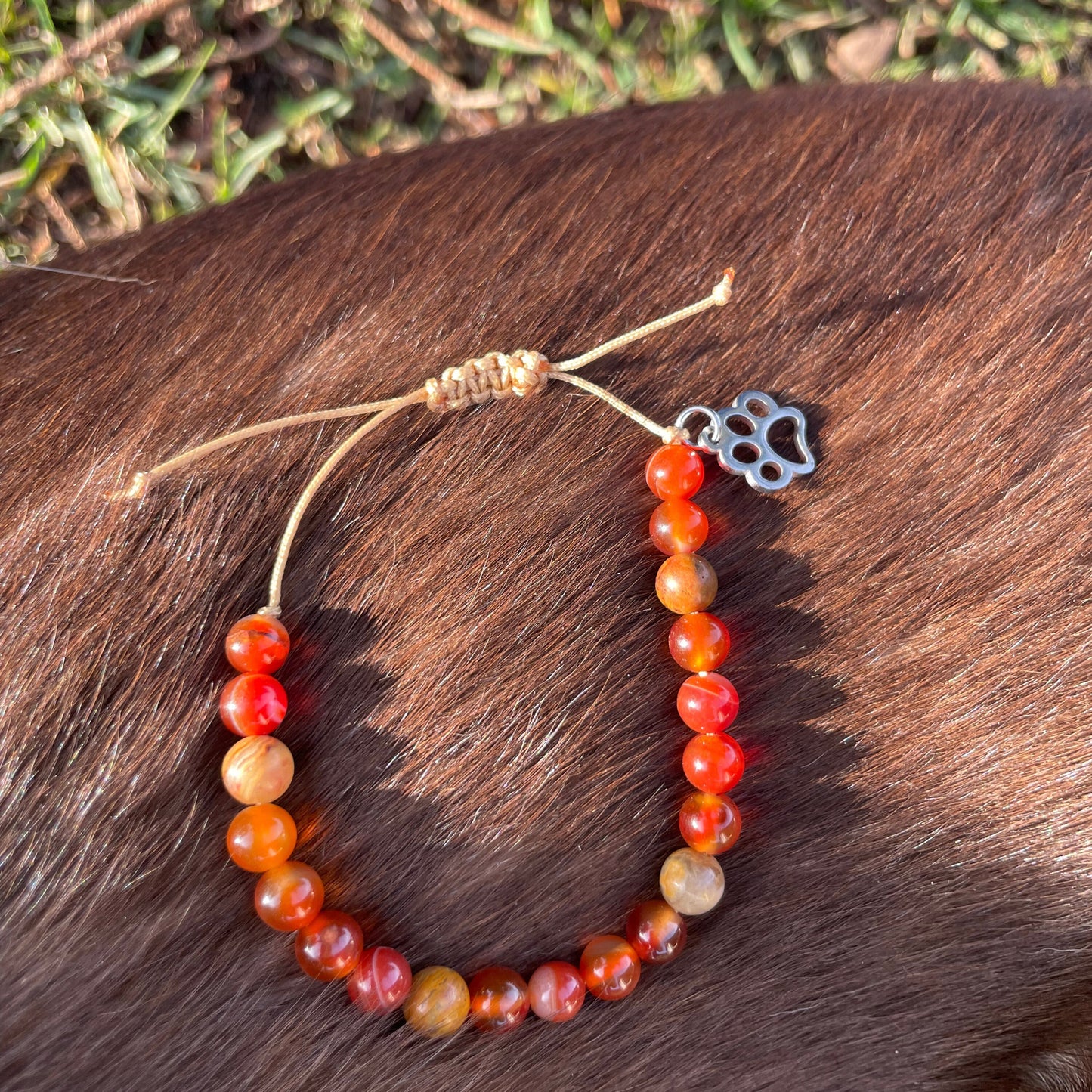Dackelliebe Armband